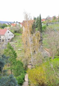 Jön a tavasz! A 273. Csorba blog melléklete