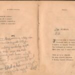 Horváth Kálmán: Költemények. A Magyarország székely népe című Csorba vers A 295. Csorba blog melléklete.