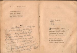 Horváth Kálmán: Költemények. A Magyarország székely népe című Csorba vers A 295. Csorba blog melléklete.