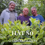 Hát 80. Ajándékkiállítás Aknai Tamás 80 születésnapjára. Dechandt Antal, Szilágyi Szilárd. Művészetek Háza Pécs 2025. július 9- augusztus 2.