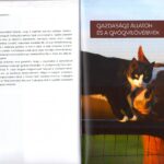 Szabó László Gyula: Szeretetcsomag. A 383. Csorba blog melléklete