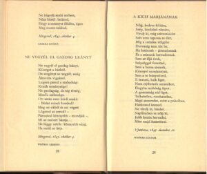 A 399. Csorba blog melléklete. Sevcsenko: Ne irigyeld a gazdagot 2.